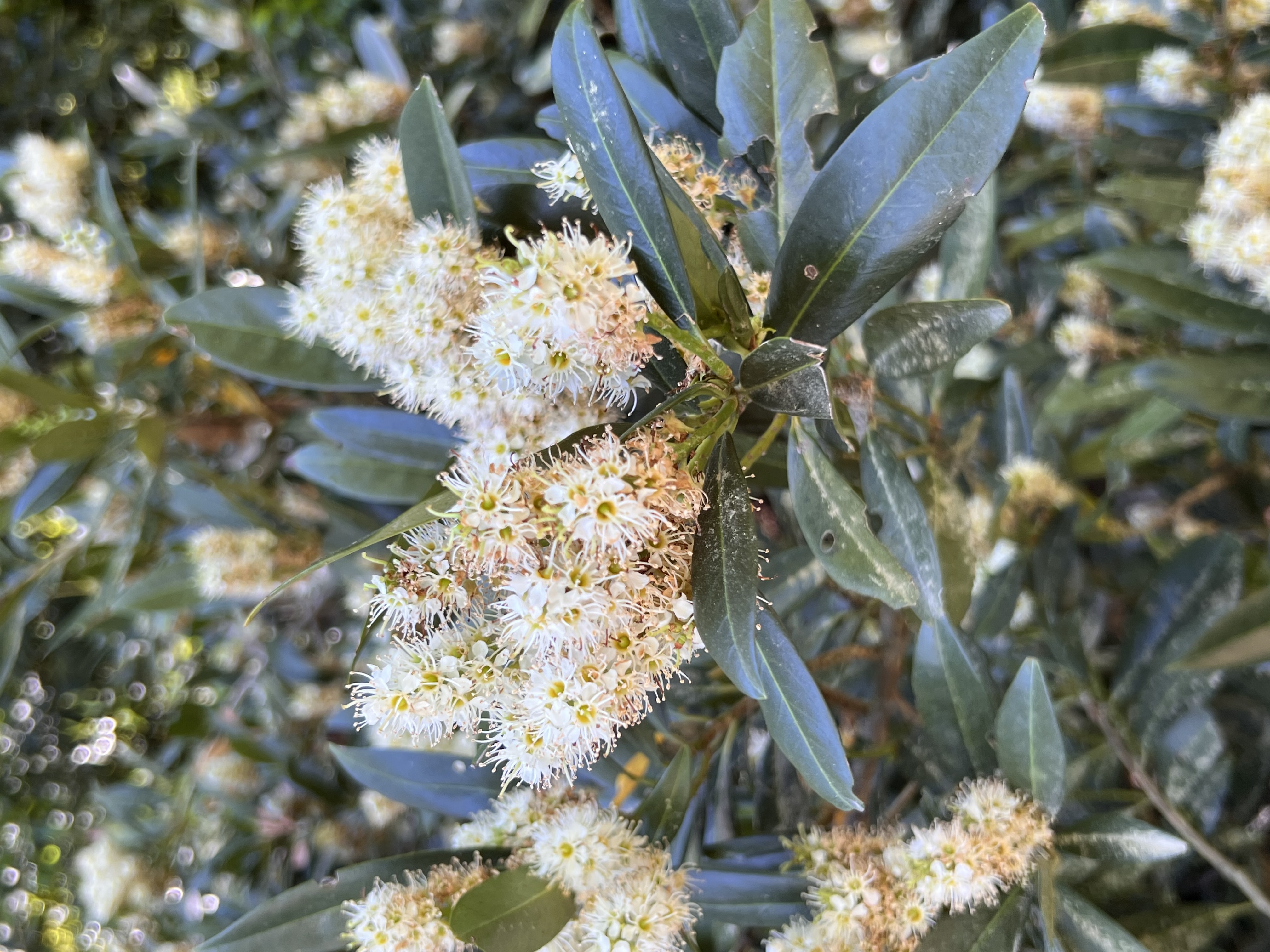 ./2023/05 - Toni Adventures/IMG_3246.JPG